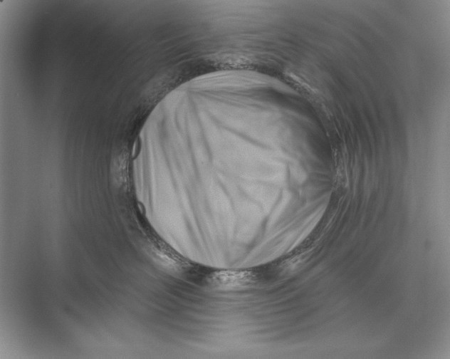 X0000074960526200609221800