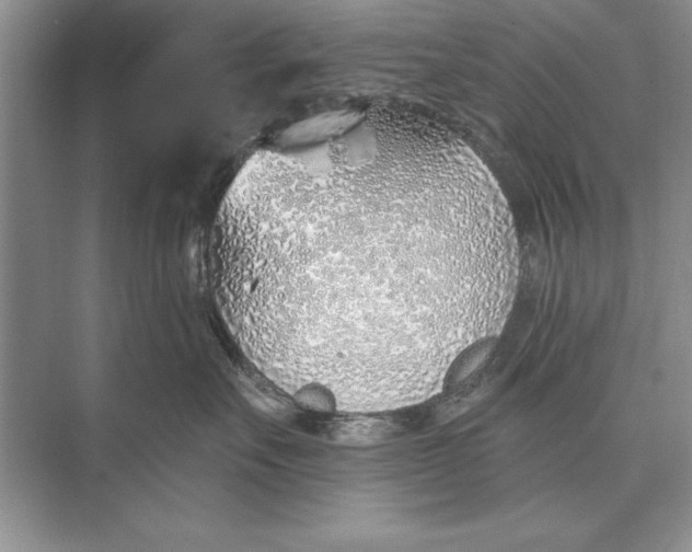 X0000074960527200609221800