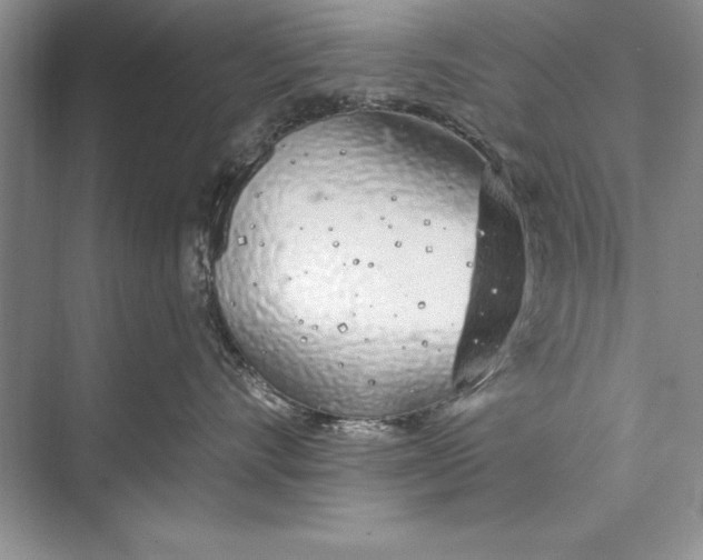 X0000074960528200609221800