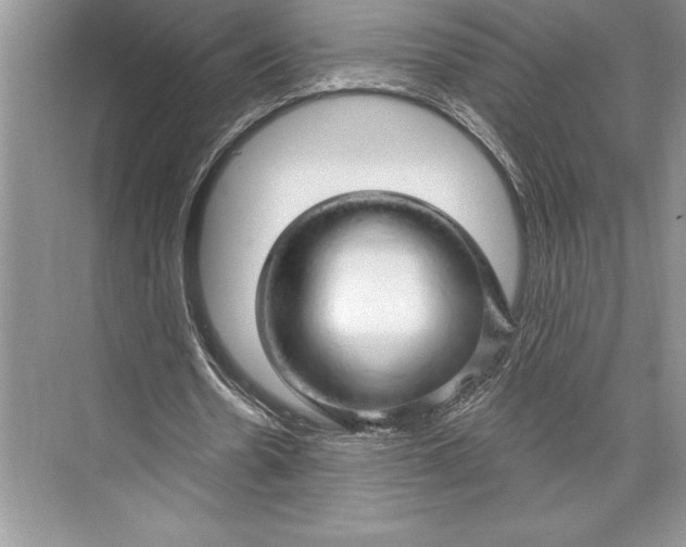 X0000074960530200609221759