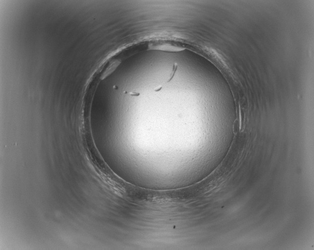 X0000074960531200609221759