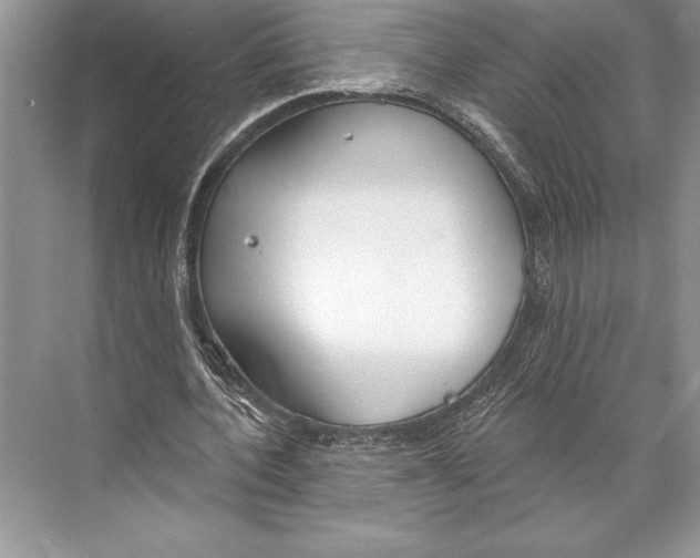 X0000074960532200609221759