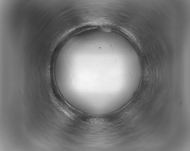 X0000074960535200609221759