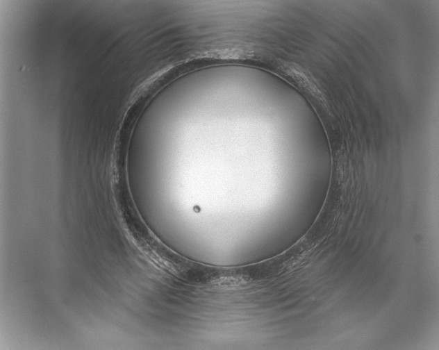 X0000074960536200609221759