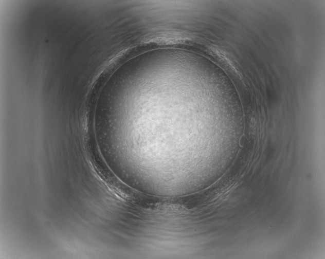 X0000074960539200609221759