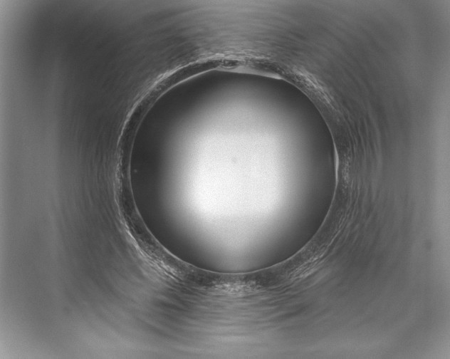 X0000074960540200609221759