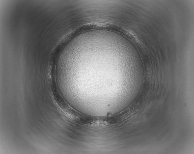 X0000074960543200609221759