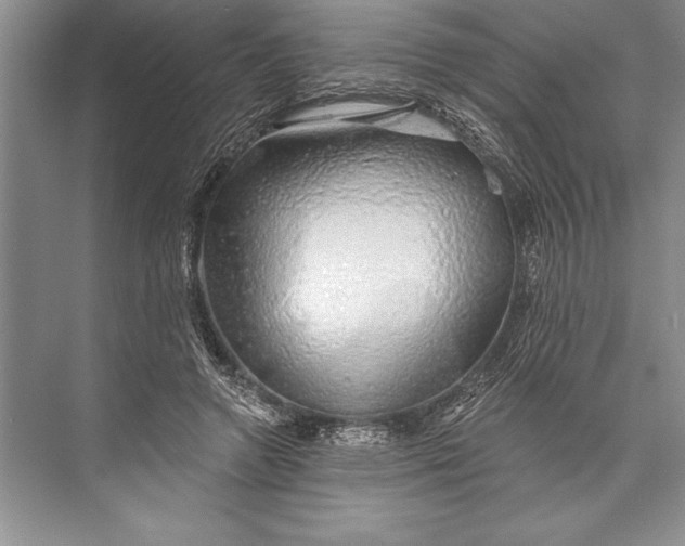 X0000074960546200609221759