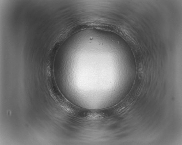 X0000074960547200609221759