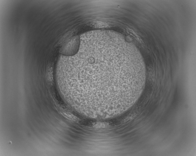 X0000074960549200609221759