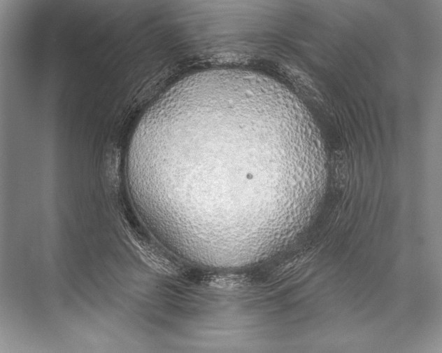 X0000074960550200609221800