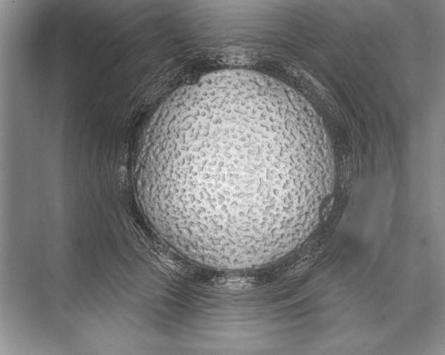 X0000074960553200609221800