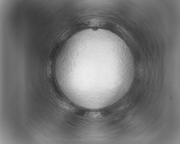 X0000074960554200609221800