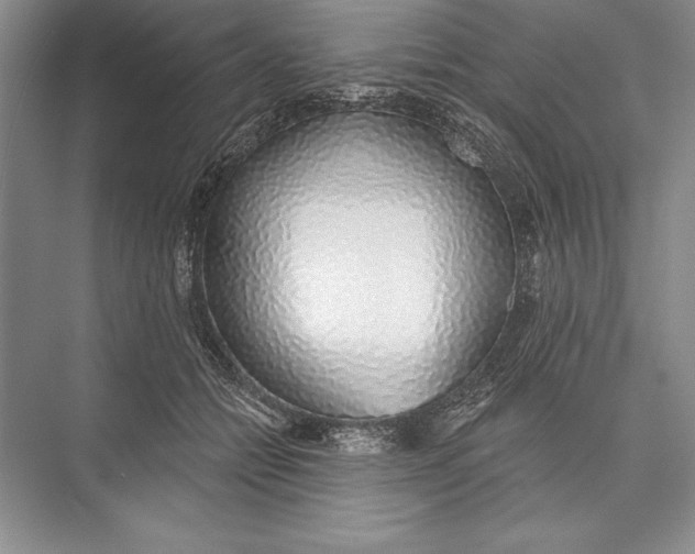 X0000074960558200609221800