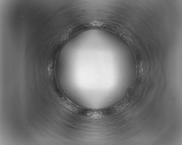 X0000074960559200609221800