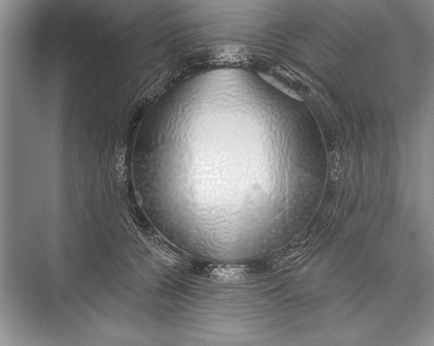 X0000074960560200609221800