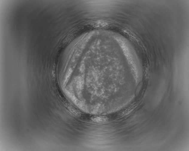 X0000074960561200609221800