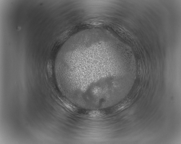 X0000074960562200609221800