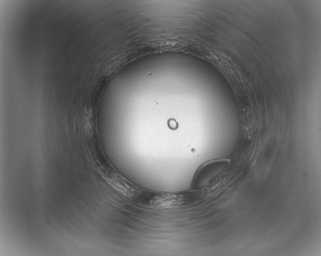 X0000074960563200609221800