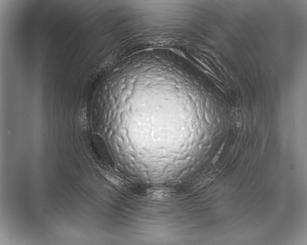 X0000074960564200609221800