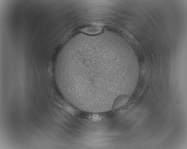 X0000074960565200609221800