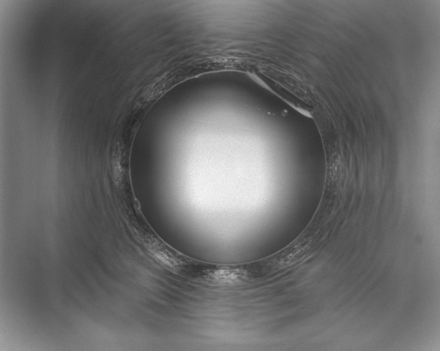 X0000074960566200609221800