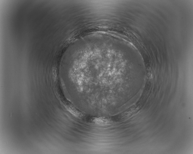 X0000074960568200609221800