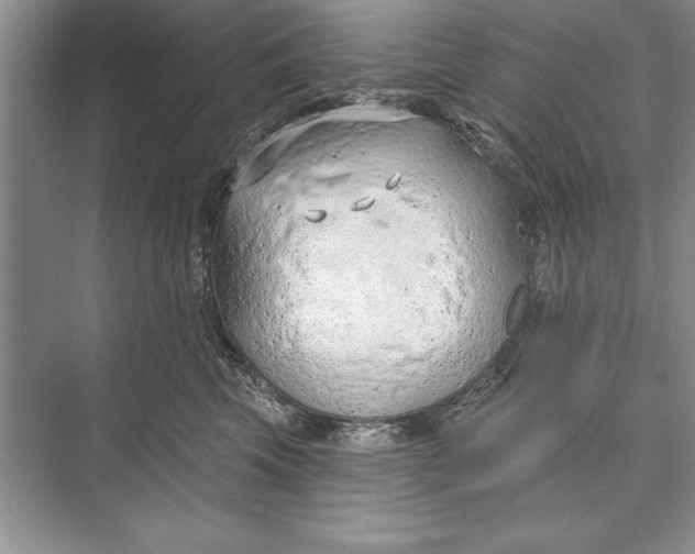 X0000074960569200609221800