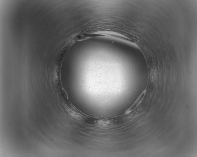 X0000074960570200609221800