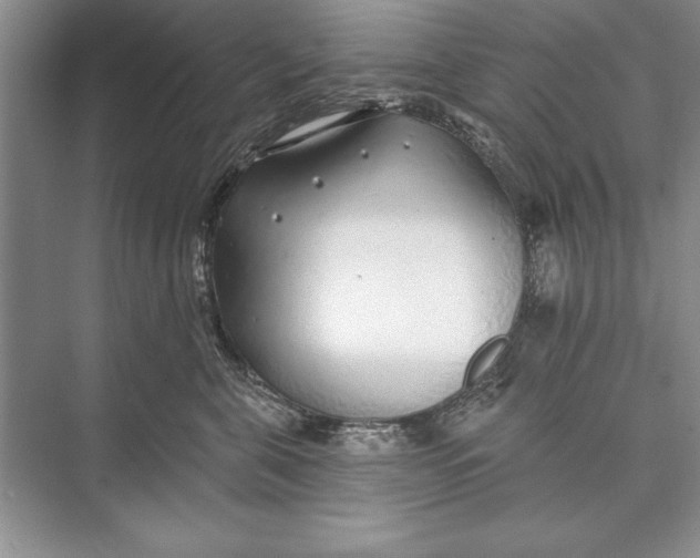 X0000074960571200609221800