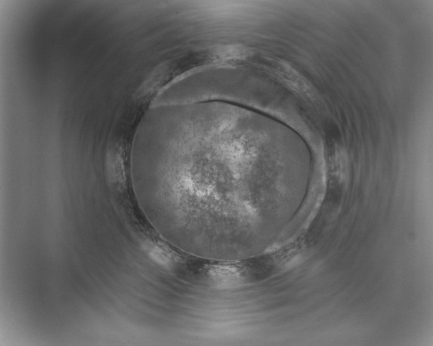 X0000074960572200609221800