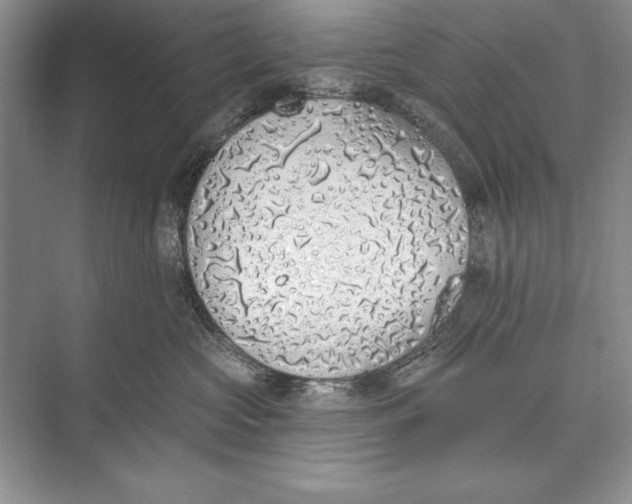 X0000074960573200609221800