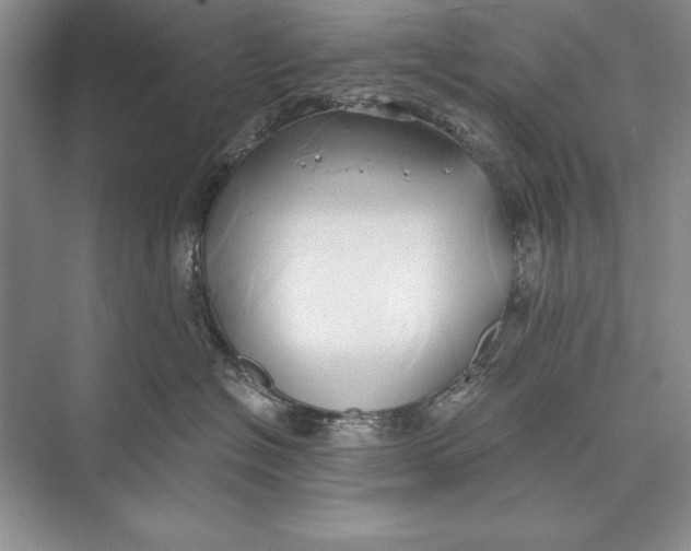 X0000074960574200609221800