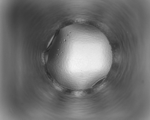 X0000074960575200609221800