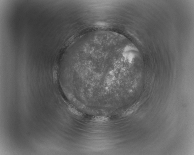 X0000074960576200609221800