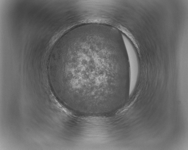 X0000074960577200609221759