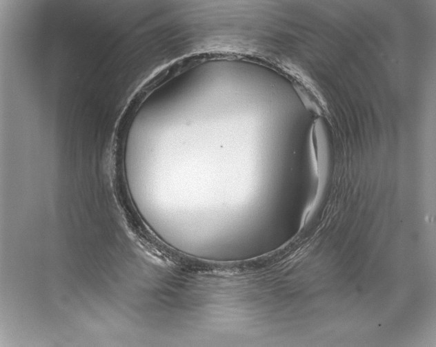 X0000074960580200609221759