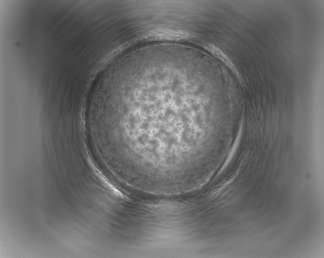 X0000074960581200609221759