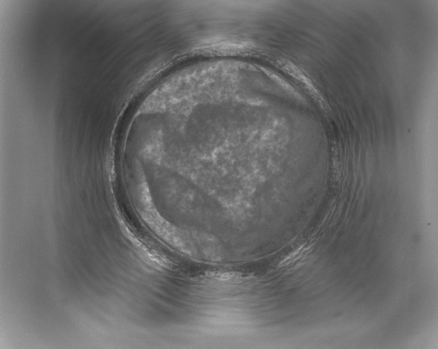 X0000074960582200609221759