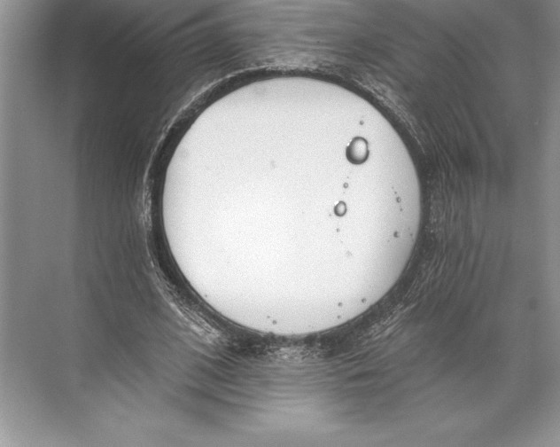 X0000074960584200609221759