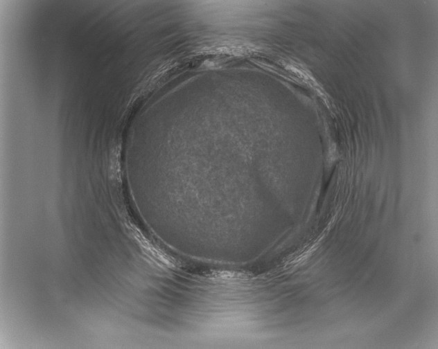 X0000074960585200609221759