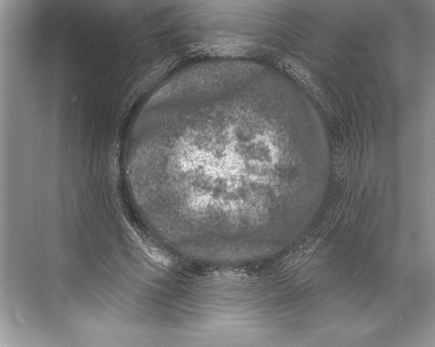 X0000074960586200609221759