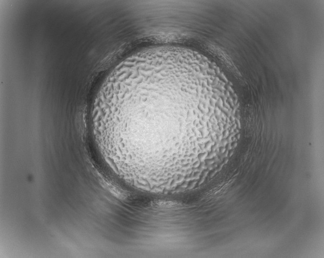 X0000074960590200609221759