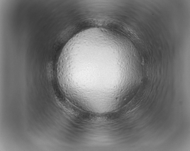 X0000074960594200609221759