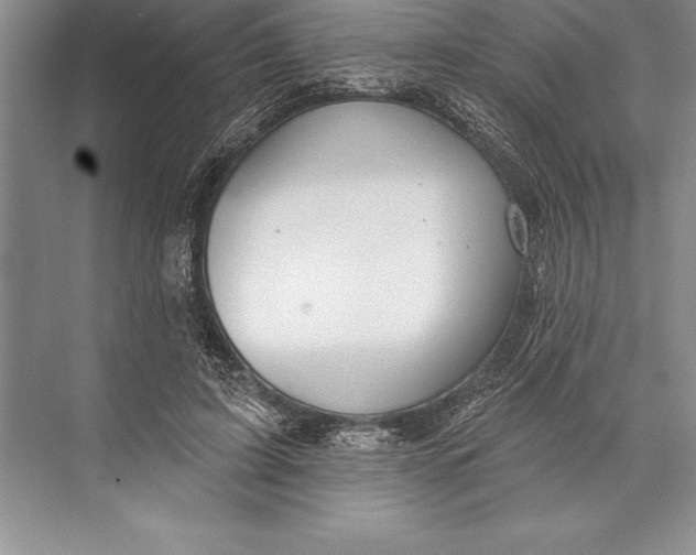 X0000074960595200609221759