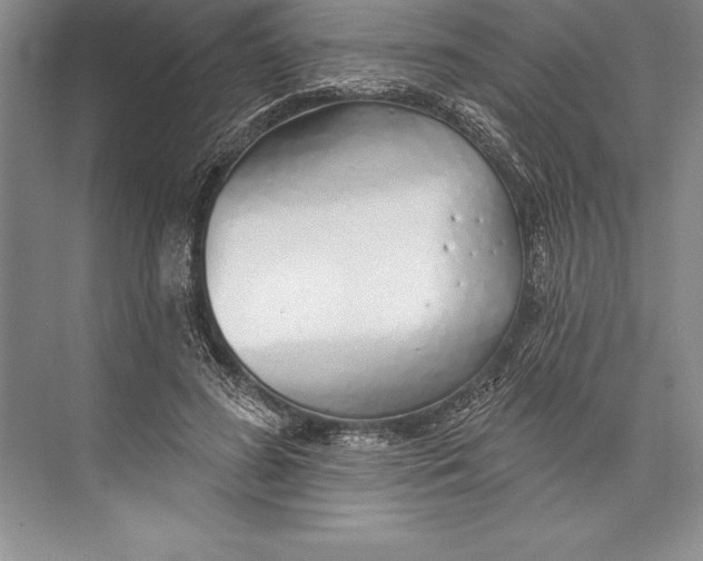 X0000074960596200609221759