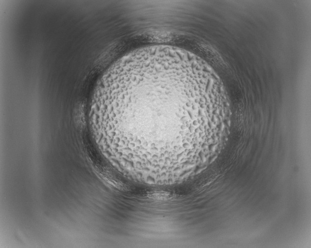 X0000074960598200609221759