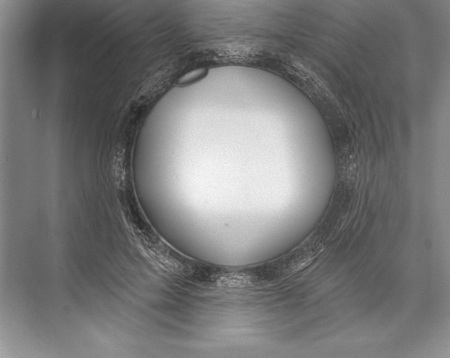 X0000074960599200609221759