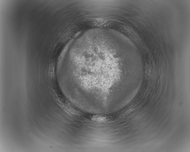 X0000074960602200609221759