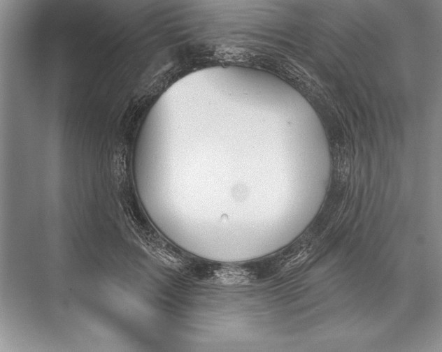 X0000074960603200609221759